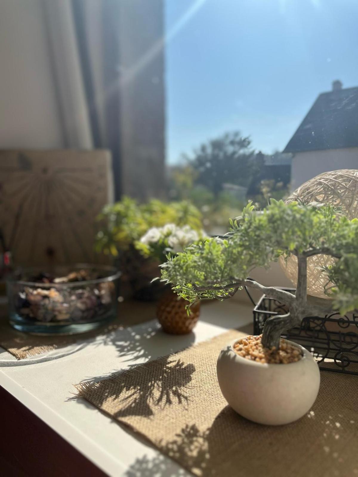 Le Gite De La Menuiserie Maisoncelles-la-Jourdan Kültér fotó